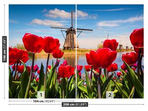 Fototapeta Vliesová Veterné mlyny v holandsku 208x146 cm