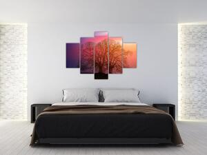 Obraz stromov v hmle (150x105 cm)