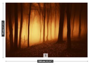 Fototapeta Vliesová Strašidelný les 104x70 cm