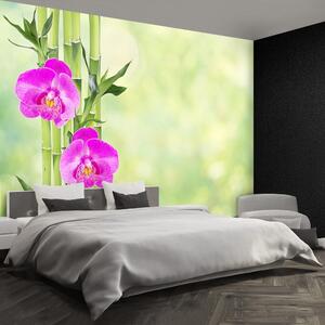 Fototapeta Vliesová Orchidea a bambus 104x70 cm