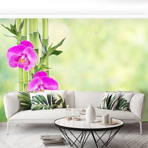 Fototapeta Vliesová Orchidea a bambus 104x70 cm