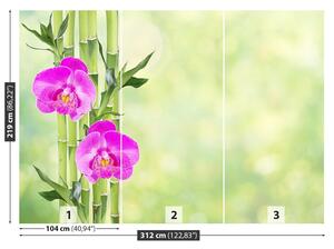 Fototapeta Vliesová Orchidea a bambus 312x219 cm