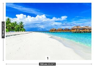 Fototapeta Vliesová Maledivy 104x70 cm