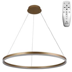 Brilagi - LED stmievateľný luster na lanku CIRCLE LED/55W/230V 3000-6500K zlatý s diaľkovým ovládaním