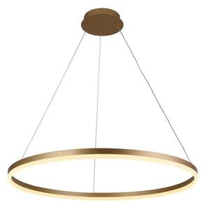 Brilagi - LED Stmievateľný luster na lanku CIRCLE LED/55W/230V 3000-6500K zlatá+DO