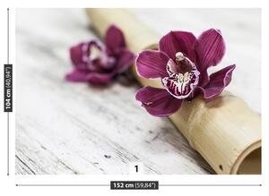 Fototapeta Vliesová Orchideovej drevo 152x104 cm