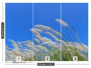 Fototapeta Vliesová Modrá tráva 312x219 cm