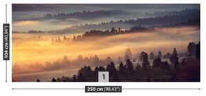 Fototapeta Vliesová Horský les 250x104 cm