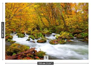 Fototapeta Vliesová Rieka v japonsku 152x104 cm