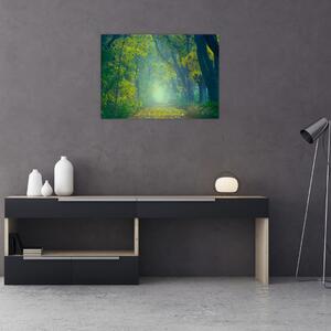 Obraz cesty lemovanej stromami (70x50 cm)