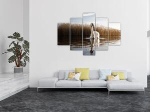 Obraz labute (150x105 cm)