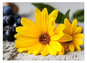 Obraz žltých kvetov (70x50 cm)