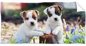 Bavlnená plážová osuška Jack Russell Teriér - 100% bavlna - 70 x 140 cm