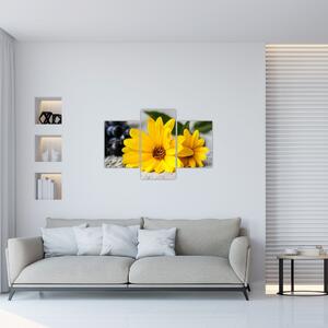 Obraz žltých kvetov (90x60 cm)