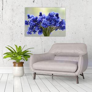 Obraz kytice modrých kvetov (70x50 cm)