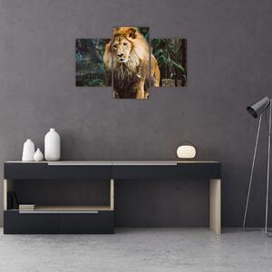 Obraz leva v prírode (90x60 cm)