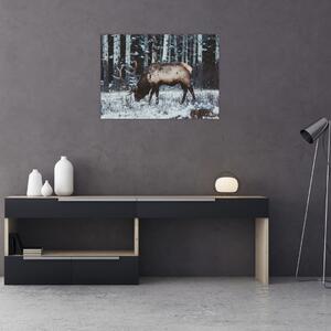 Obraz - jeleň v zime (70x50 cm)