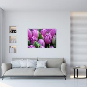 Obraz - kvety tulipánov (90x60 cm)