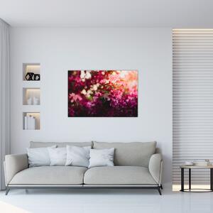 Obraz kvetov rozkvitnutého kríku (90x60 cm)