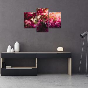 Obraz kvetov rozkvitnutého kríku (90x60 cm)