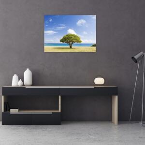 Obraz pláže so stromom (70x50 cm)