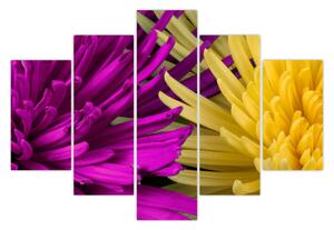 Obraz - detail kvetov (150x105 cm)