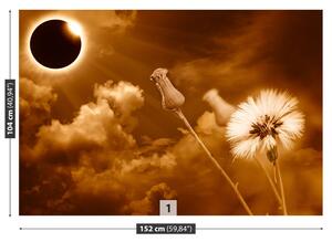 Fototapeta Vliesová Púpava slnka. 152x104 cm