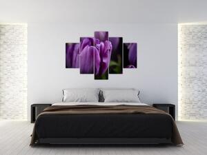 Obraz kvetov tulipánov (150x105 cm)