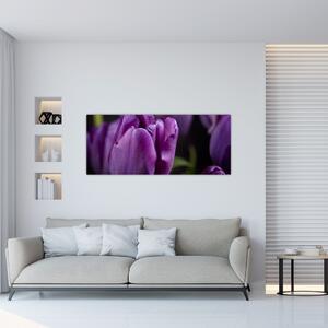Obraz kvetov tulipánov (120x50 cm)