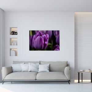 Obraz kvetov tulipánov (90x60 cm)