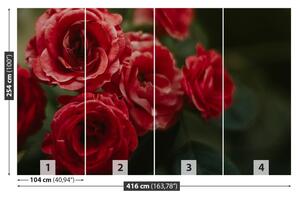 Fototapeta Vliesová Vintage ruže 416x254 cm