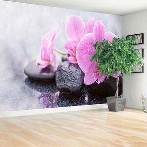Fototapeta Vliesová Orchidea kamene 104x70 cm