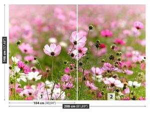 Fototapeta Vliesová Vesmír kvety 208x146 cm