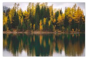Obraz lesného jazera (90x60 cm)