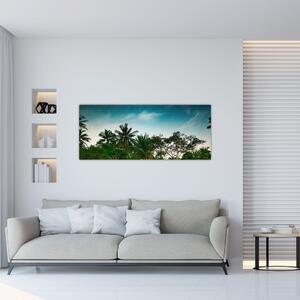 Obraz - palmy (120x50 cm)