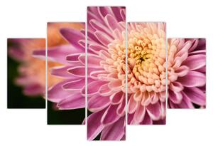 Detailný obraz kvetu (150x105 cm)