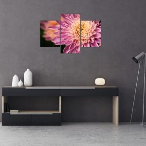 Detailný obraz kvetu (90x60 cm)