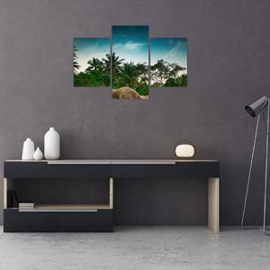 Obraz - palmy (90x60 cm)
