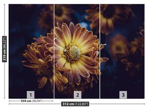 Fototapeta Vliesová Žltý kvet 312x219 cm