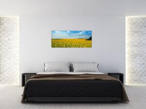 Obraz - pás slnečníc (120x50 cm)
