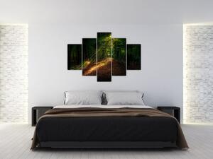 Obraz lesnej cesty (150x105 cm)