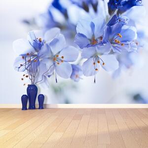 Fototapeta Vliesová Modré kvety 416x254 cm
