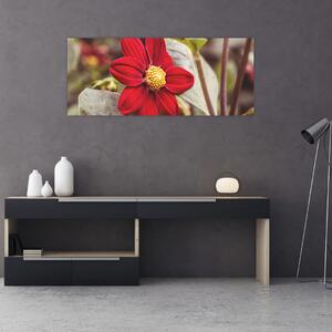 Obraz kvetiny (120x50 cm)