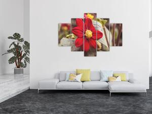 Obraz kvetiny (150x105 cm)