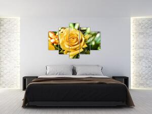 Obraz ruže (150x105 cm)