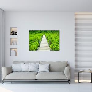 Obraz - drevený chodník (90x60 cm)
