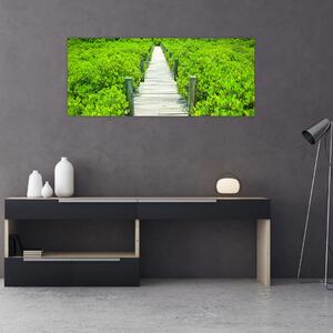 Obraz - drevený chodník (120x50 cm)