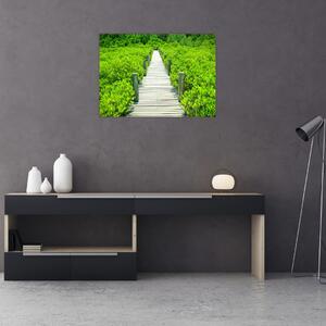 Obraz - drevený chodník (70x50 cm)