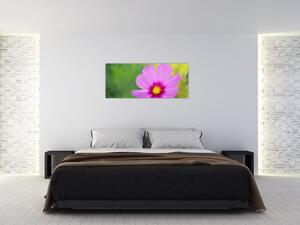 Obraz - lúčna kvetina (120x50 cm)