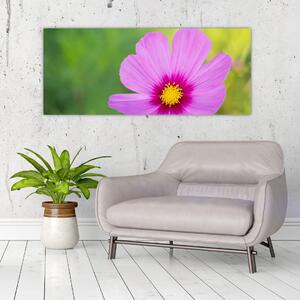 Obraz - lúčna kvetina (120x50 cm)